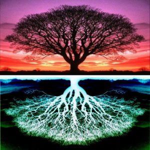 tree of life mirrored below