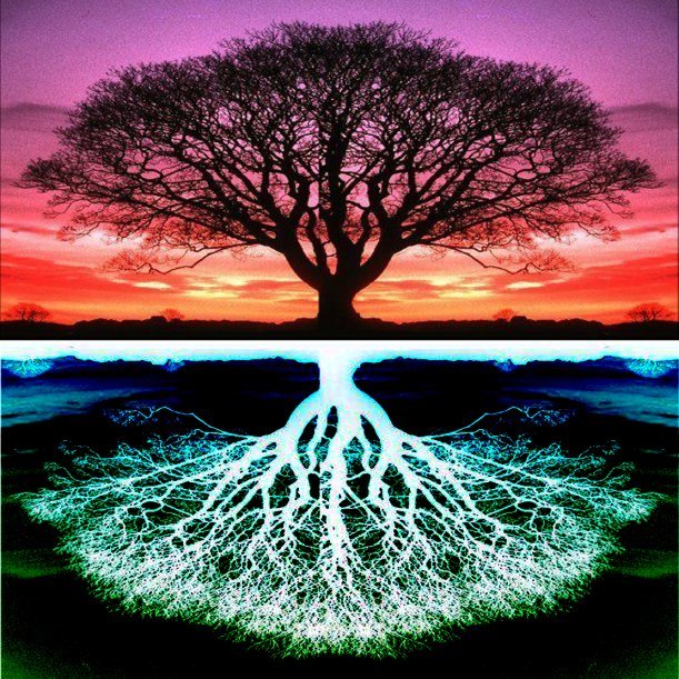 tree of life mirrored below